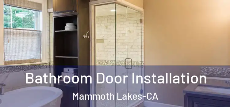  Bathroom Door Installation Mammoth Lakes-CA