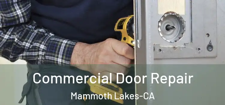  Commercial Door Repair Mammoth Lakes-CA