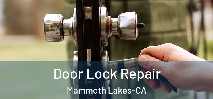 Door Lock Repair Mammoth Lakes-CA
