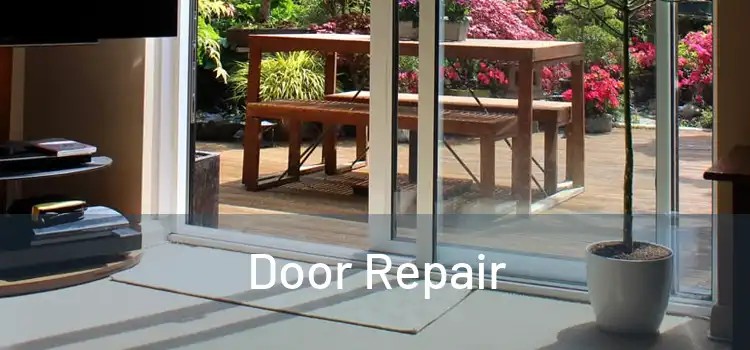 Door Repair