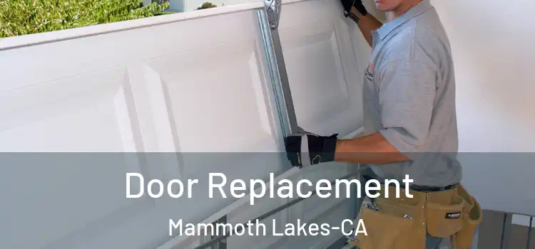  Door Replacement Mammoth Lakes-CA