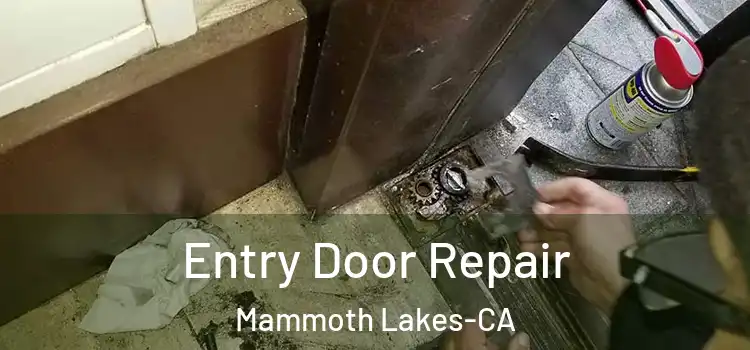 Entry Door Repair Mammoth Lakes-CA