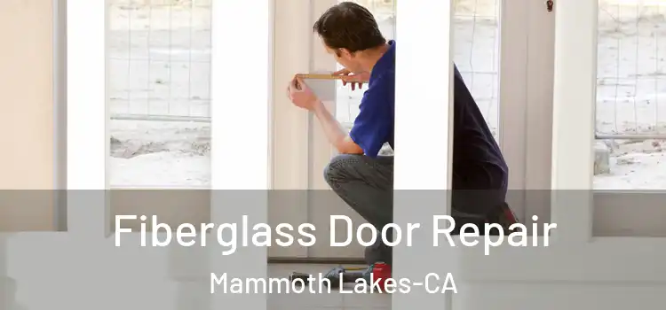  Fiberglass Door Repair Mammoth Lakes-CA