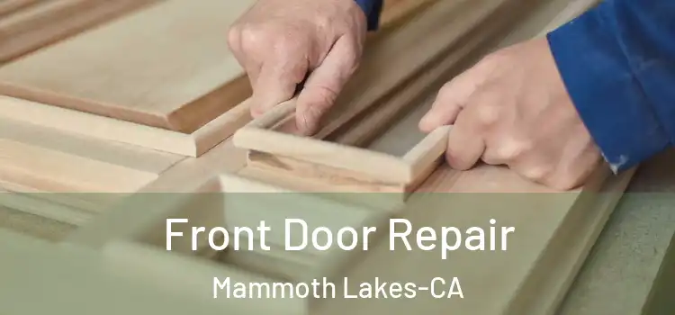 Front Door Repair Mammoth Lakes-CA