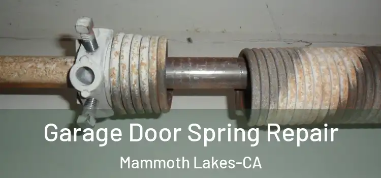  Garage Door Spring Repair Mammoth Lakes-CA