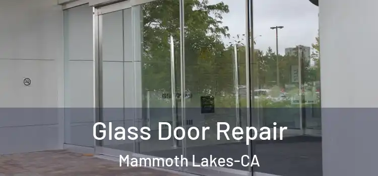  Glass Door Repair Mammoth Lakes-CA