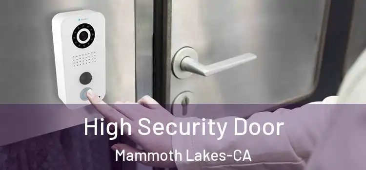  High Security Door Mammoth Lakes-CA
