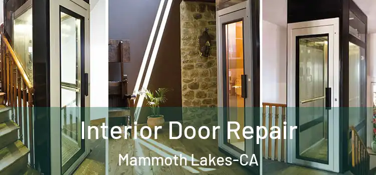 Interior Door Repair Mammoth Lakes-CA