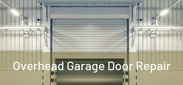 Overhead Garage Door Repair