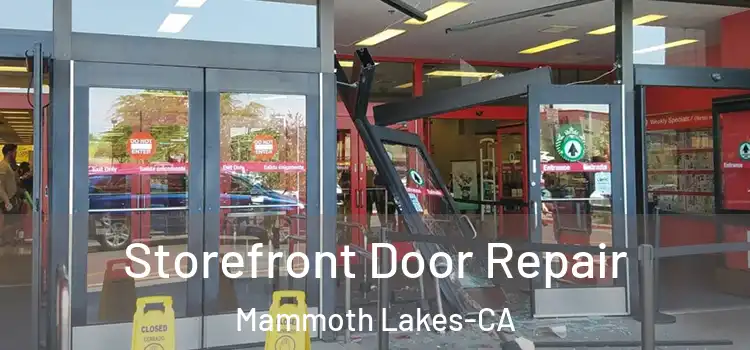 Storefront Door Repair Mammoth Lakes-CA
