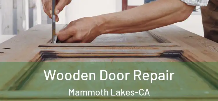 Wooden Door Repair Mammoth Lakes-CA